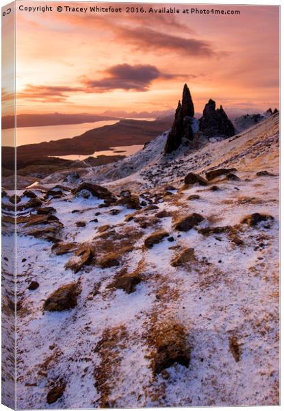 Storr Sunrise  Canvas Print by Tracey Whitefoot