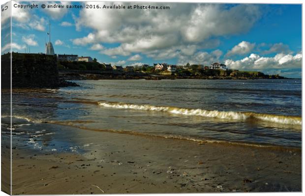 CEMAES ANGLESY Canvas Print by andrew saxton