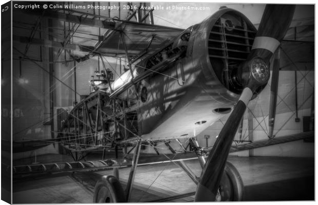 Restoring a Biplane Canvas Print by Colin Williams Photography