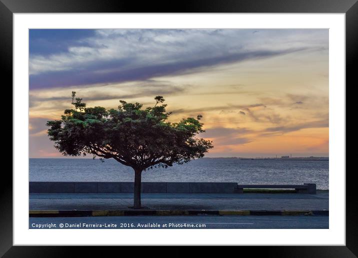 Sunset Scene at Boardwalk in Montevideo Uruguay Framed Mounted Print by Daniel Ferreira-Leite
