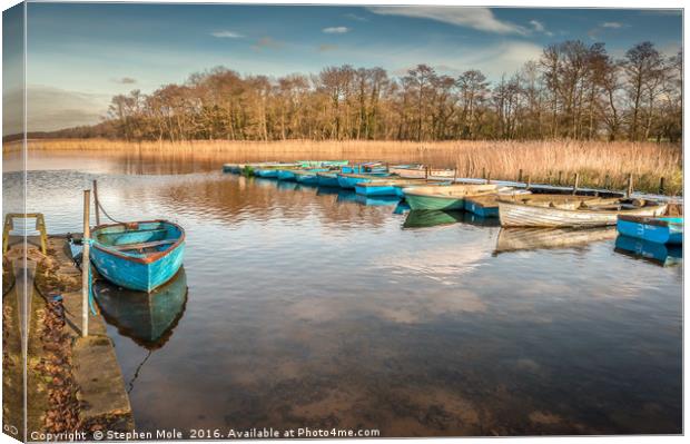 Dinghies at Filby Broad Canvas Print by Stephen Mole