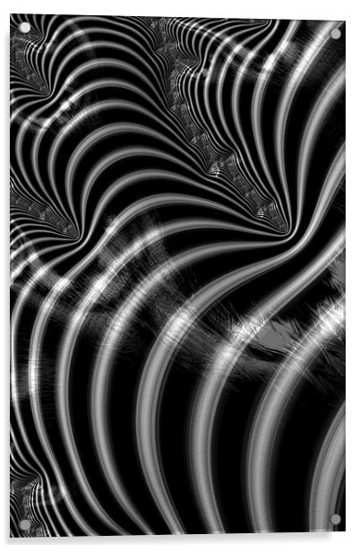 Zebra Mayhem Acrylic by Steve Purnell