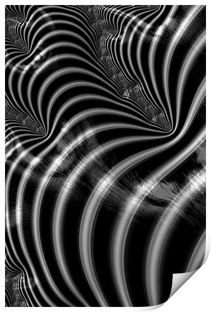 Zebra Mayhem Print by Steve Purnell