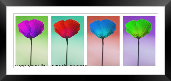 Funky Poppies Framed Mounted Print by Dave Cullen