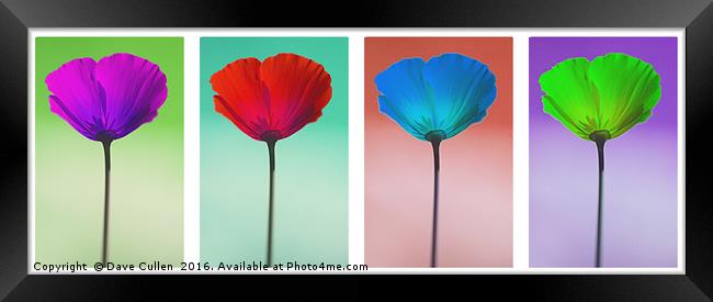 Funky Poppies Framed Print by Dave Cullen