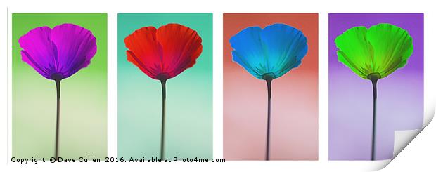 Funky Poppies Print by Dave Cullen