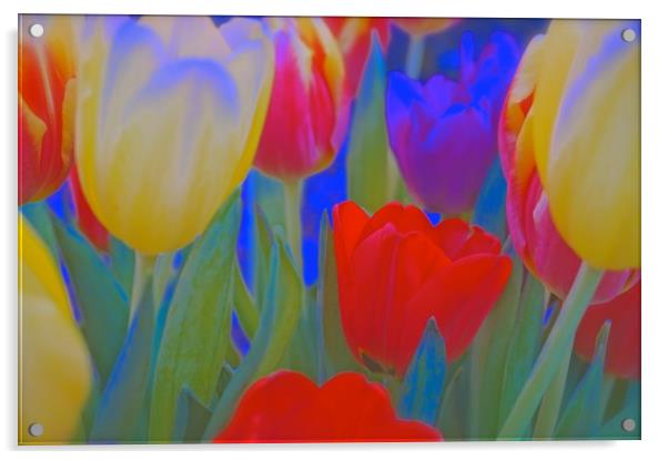 Inside a bunch of Tulips                           Acrylic by Sue Bottomley
