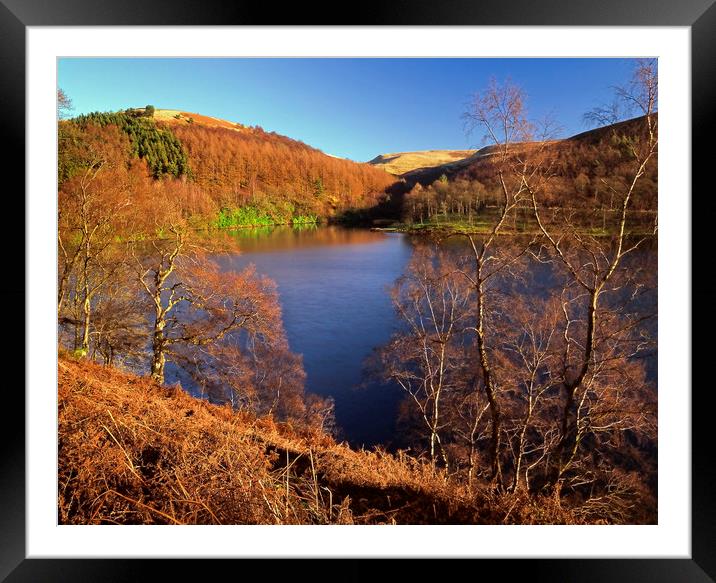 Derwent Reservoir Autumn Colours Framed Mounted Print by Darren Galpin