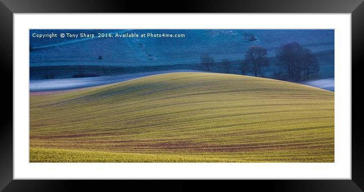 Downland Dusk Framed Mounted Print by Tony Sharp LRPS CPAGB