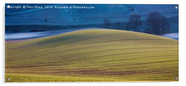 Downland Dusk Acrylic by Tony Sharp LRPS CPAGB