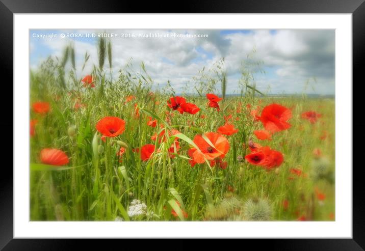 "IN THE POPPY FIELD" Framed Mounted Print by ROS RIDLEY