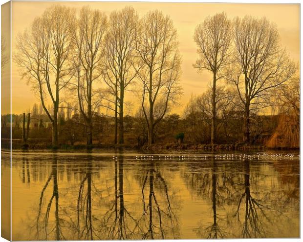  Trees reflection across the lake                  Canvas Print by Sue Bottomley