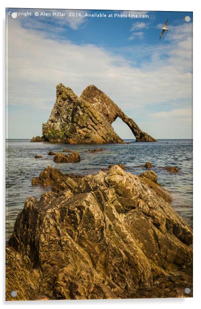 Bowfiddle Rock Acrylic by Alex Millar