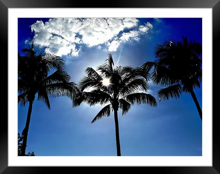 calm palm Framed Mounted Print by nina saunders
