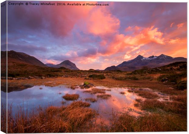 Sligachan Fire  Canvas Print by Tracey Whitefoot