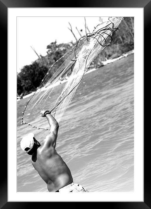 net fishing for bait Framed Mounted Print by nina saunders