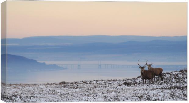 Dawn of a New Day Above the Beauly Firth Canvas Print by Macrae Images
