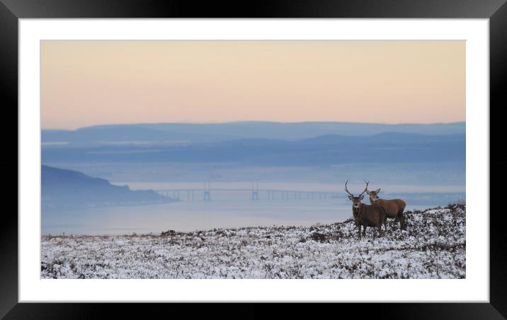 Dawn of a New Day Above the Beauly Firth Framed Mounted Print by Macrae Images