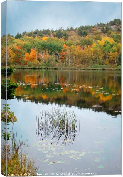 Autumn Reflections in New England. Canvas Print by David Birchall