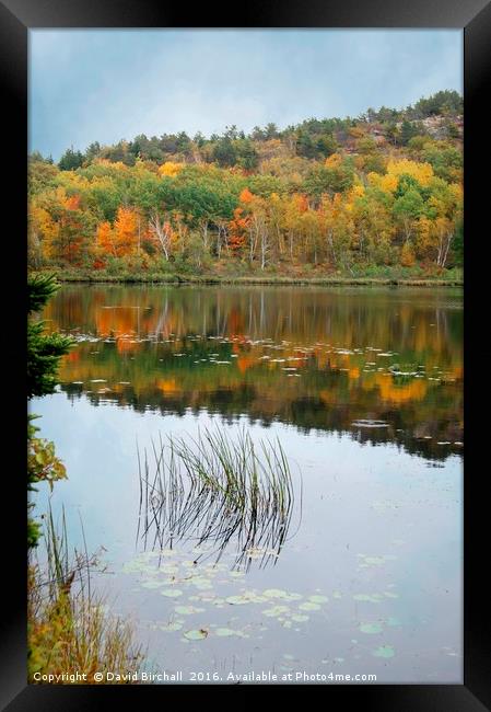 Autumn Reflections in New England. Framed Print by David Birchall