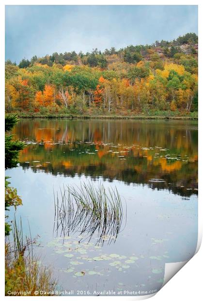 Autumn Reflections in New England. Print by David Birchall