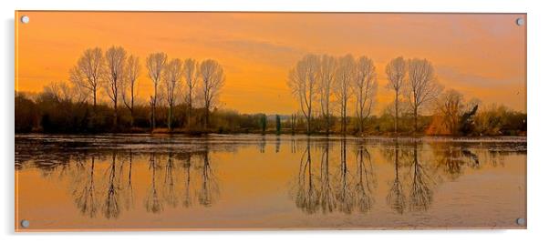 Trees reflection across the lake                   Acrylic by Sue Bottomley