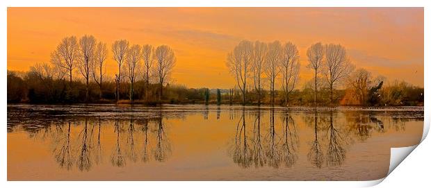Trees reflection across the lake                   Print by Sue Bottomley