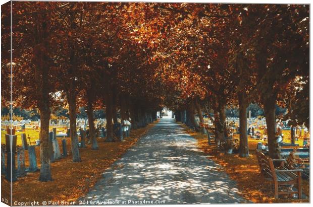 Autumn Treeline in UK Canvas Print by Paul Bryan