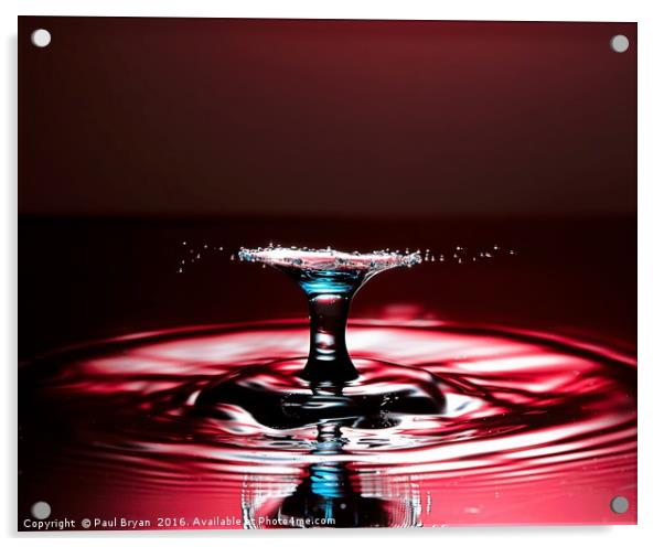 Blue Splash on Red Water Acrylic by Paul Bryan