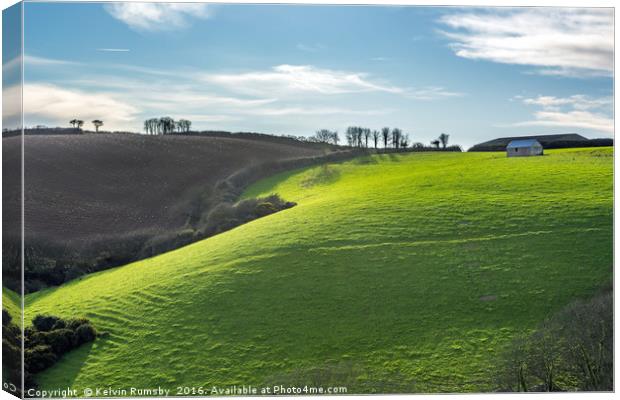 green field Canvas Print by Kelvin Rumsby