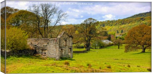 "DERELICT COTTAGE" Canvas Print by ROS RIDLEY
