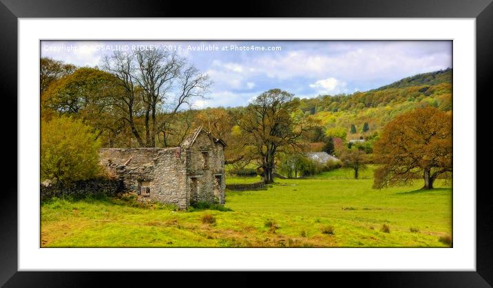 "DERELICT COTTAGE" Framed Mounted Print by ROS RIDLEY