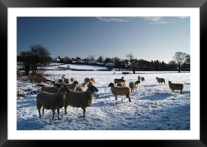 Winter gathering at Bamford Framed Mounted Print by Darren Galpin