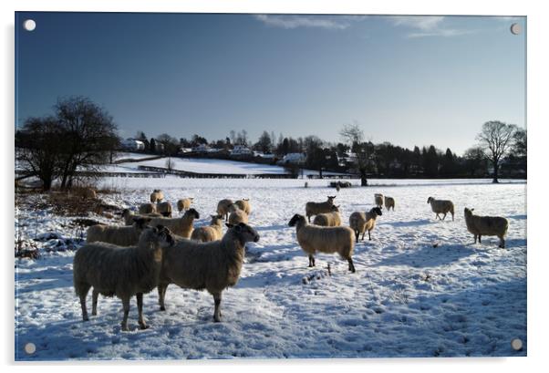 Winter gathering at Bamford Acrylic by Darren Galpin