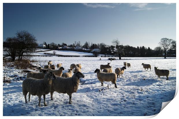 Winter gathering at Bamford Print by Darren Galpin