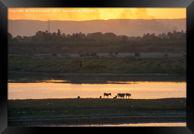 Sunset in Egypt Framed Print by Claire Castelli