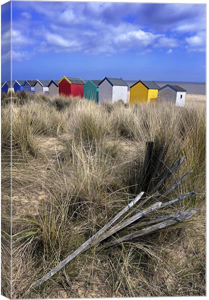 Beach huts through the dunes , Southwold Canvas Print by Stephen Mole