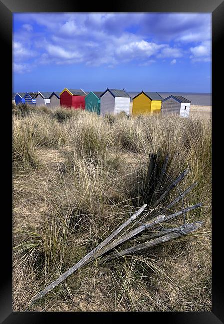 Beach huts through the dunes , Southwold Framed Print by Stephen Mole