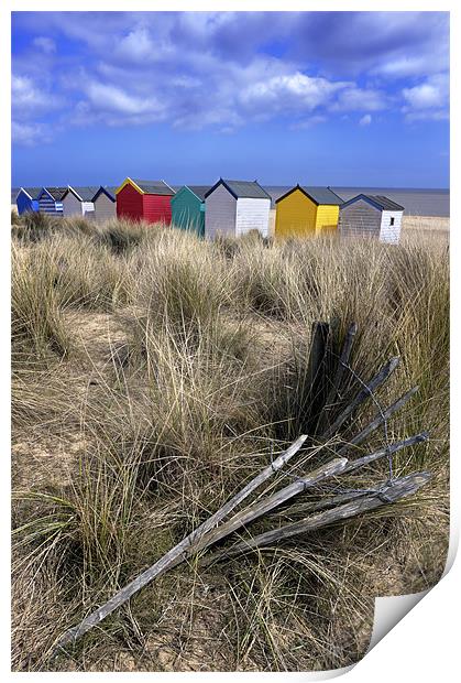 Beach huts through the dunes , Southwold Print by Stephen Mole