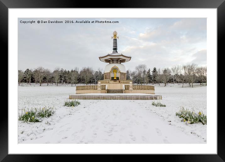 Wintery Peace Pagoda Framed Mounted Print by Dan Davidson