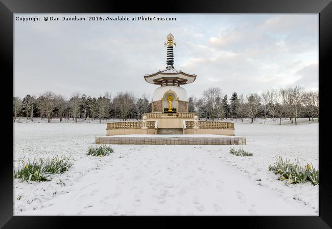 Wintery Peace Pagoda Framed Print by Dan Davidson