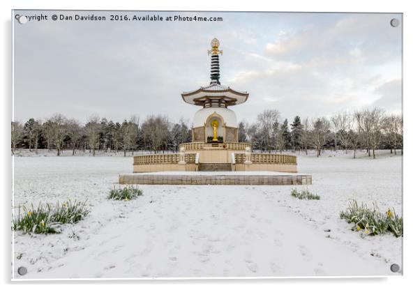 Wintery Peace Pagoda Acrylic by Dan Davidson