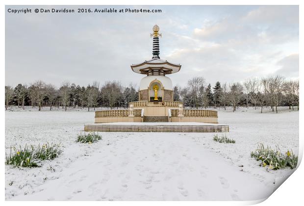 Wintery Peace Pagoda Print by Dan Davidson