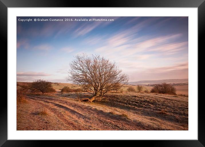 Lone Tree Framed Mounted Print by Graham Custance