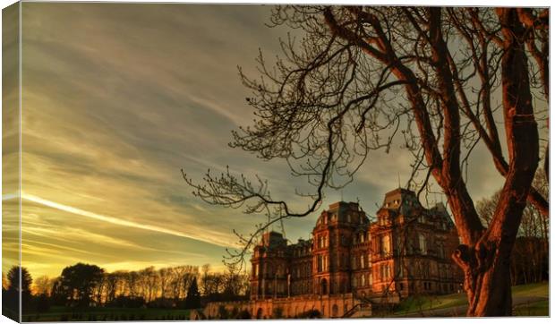 Bowes Museum                              Canvas Print by Andrew Williams