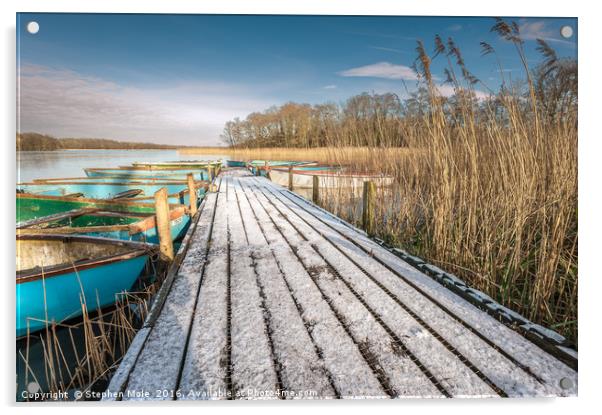 Jetty on Filby Broad Acrylic by Stephen Mole
