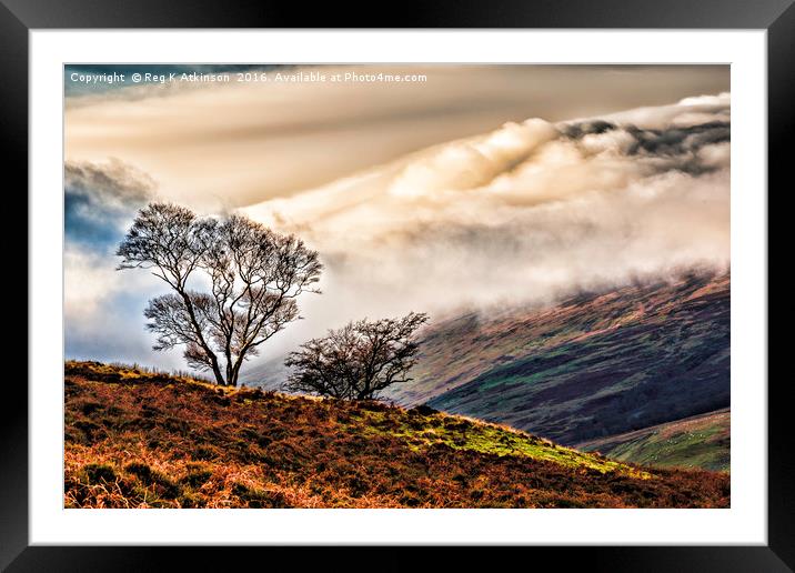 Two Trees with Rolling Clouds Framed Mounted Print by Reg K Atkinson