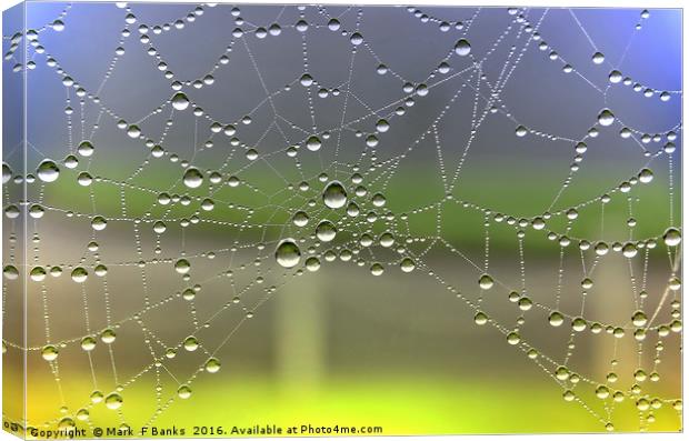 Dew On Spider Web [colour enhanced ] Canvas Print by Mark  F Banks