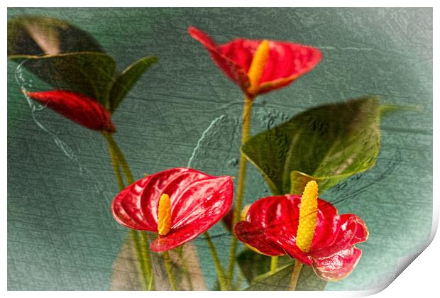 Flamingo Flowers 2 Print by Steve Purnell