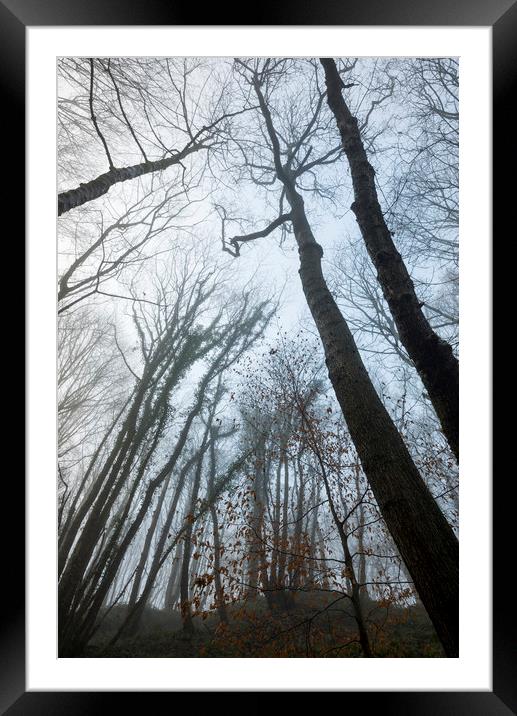 Reaching up Framed Mounted Print by Andrew Kearton